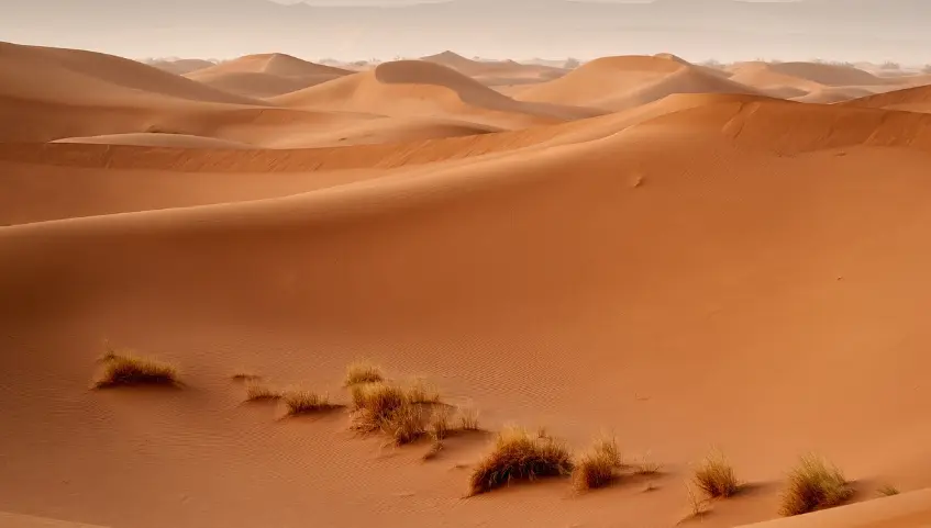 Set Off on a Moroccan Journey: Exploring from the Atlas to the Sahara