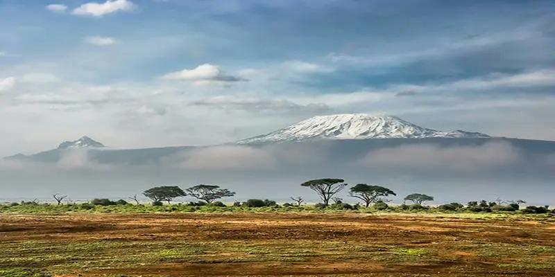 Dive into the Vibrant World of Kenya for an Unforgettable Journey