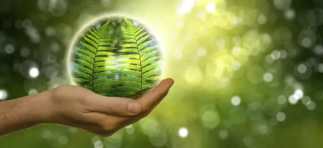 Embracing an Eco-Friendly Lifestyle: Simple Ways to Go Green